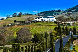 Alamo California Estate Vineyard