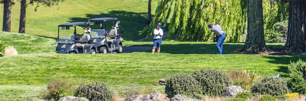 Blackhawk California Golf