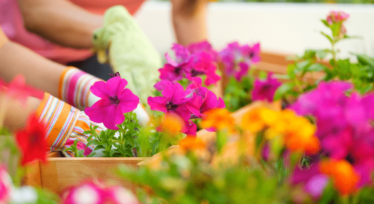 4 Things To Expect from the Spring Housing Market | The Zwahlens