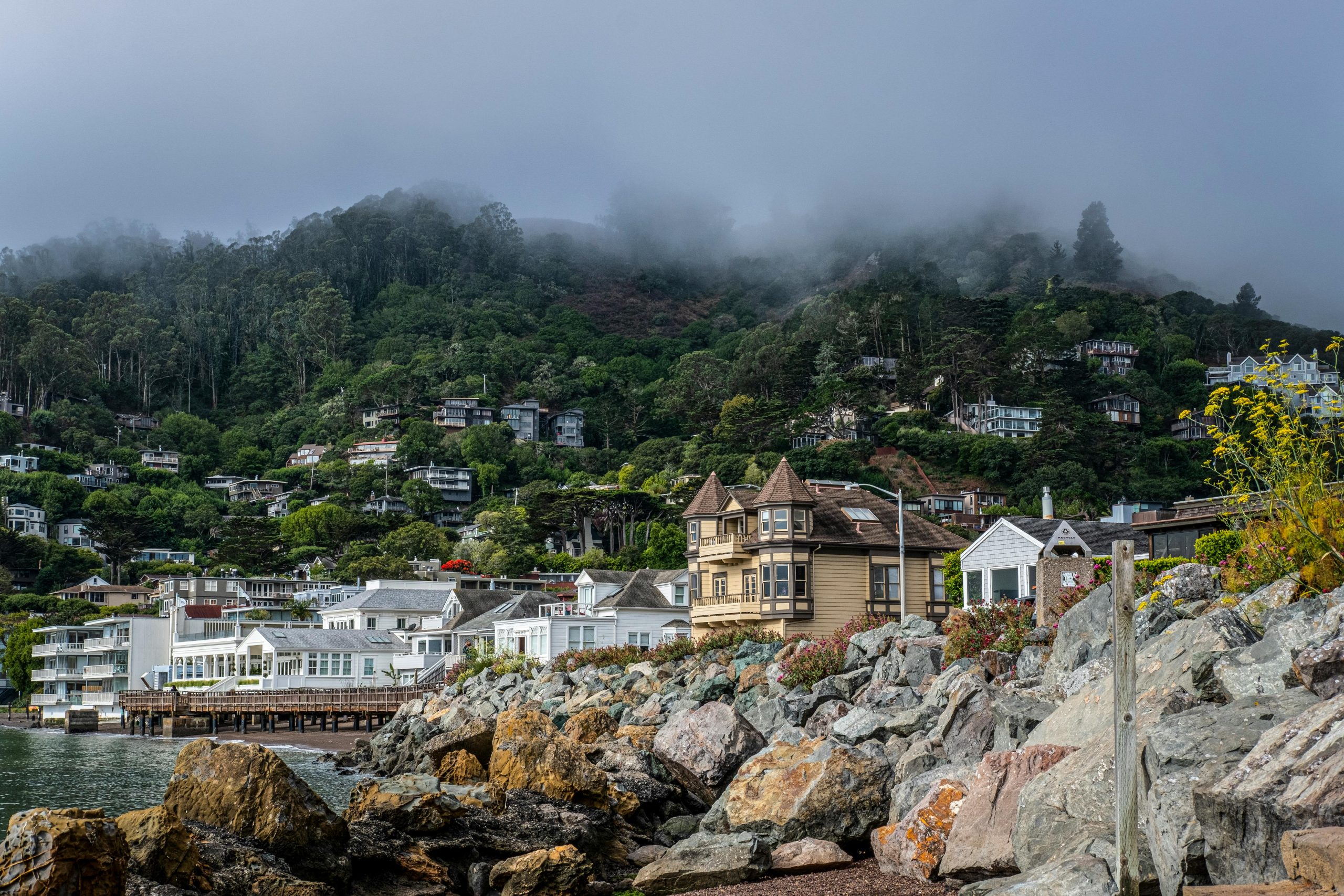 Northern California Real Estate Market Update 2026: What Buyers & Sellers Need to Know Right Now